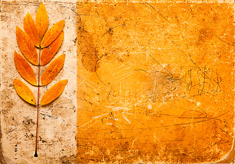 Image showing grunge background