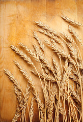 Image showing ears of wheat