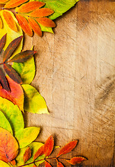 Image showing autumn leaves