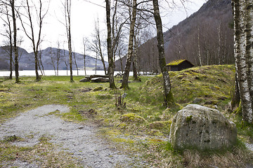 Image showing trees with grassland and mountains