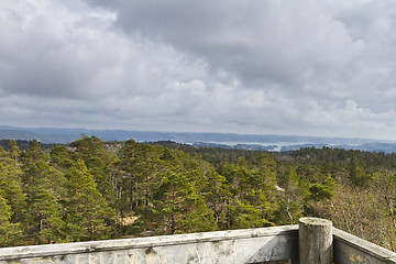 Image showing view over forest with cloudy sky