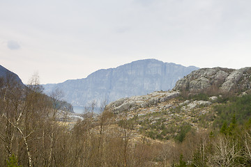 Image showing forest near fjord in norway