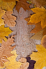 Image showing autumn leaves frame 