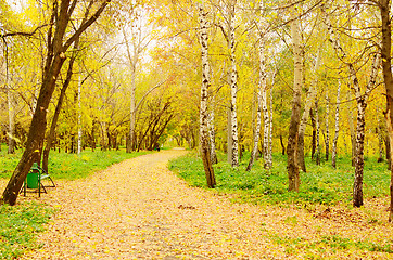 Image showing autumn park