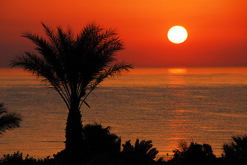 Image showing Gorgeous sunrise over sea