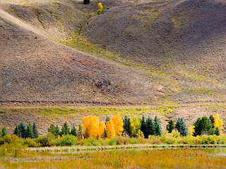 Image showing Fall color in Estes Park, Colorado