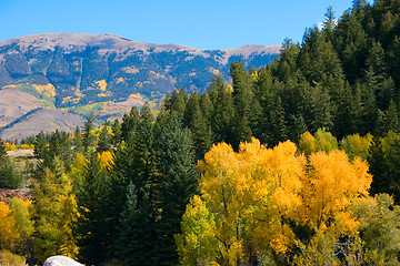 Image showing Fall color in Colorado