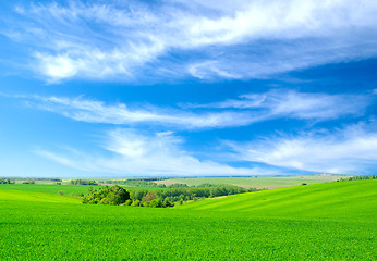 Image showing green field and blue sky