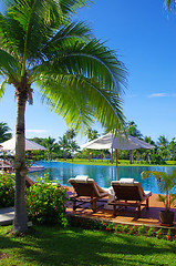 Image showing tropical swimming pool 