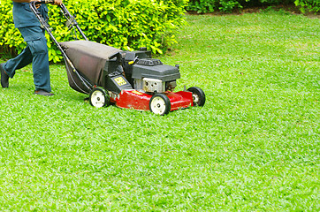 Image showing  mowing the lawn