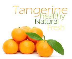 Image showing Tangerine