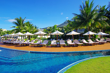 Image showing  pool with coconut tree