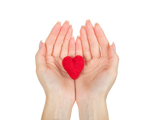 Image showing Hands holding the heart 