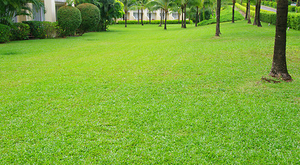 Image showing Garden 