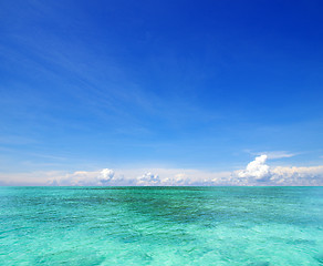 Image showing  sea