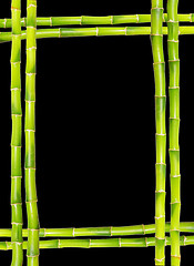 Image showing  bamboo frame