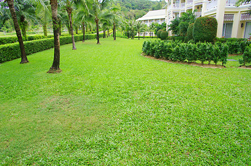 Image showing Garden 