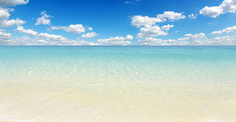 Image showing beach and tropical sea