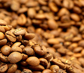 Image showing  coffee beans