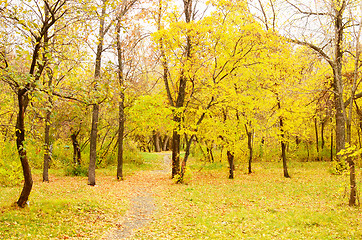 Image showing autumn park