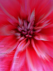 Image showing Red abstract background with abstract flower