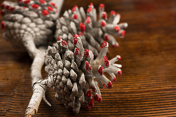 Image showing Christmas fir cone