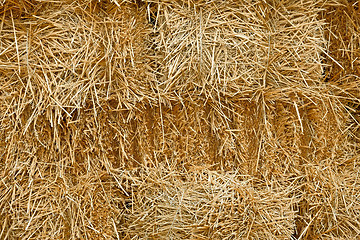 Image showing Pile of stacked straw bales 
