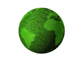 Image showing 3D green grass globe