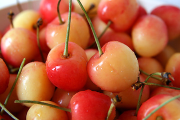 Image showing cherries