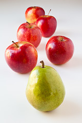 Image showing Follow the Leader - Pear and Apples