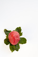 Image showing Strawberry from Above with Green Leaves