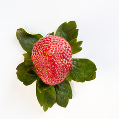 Image showing Strawberry from Above with Green Leaves