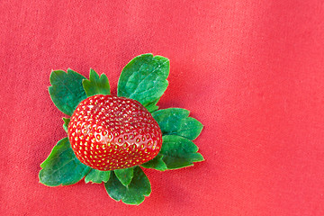 Image showing Strawberry from Above with Green Leaves on Red