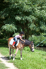 Image showing Little girl petting a horse while horseback riding