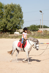 Image showing Little Girl Taking Horseback Riding Lessons