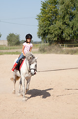 Image showing Little Girl Taking Horseback Riding Lessons