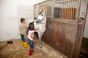 Image showing Boy and Girl Grooming a Horse