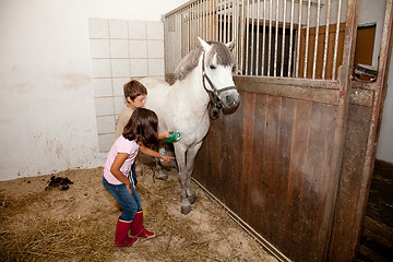 Image showing Boy and Girl Grooming a Horse