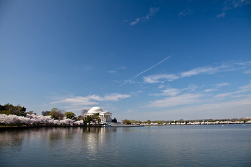 Image showing Washington DC Jefferson Memorial with Cherry Blossoms