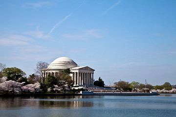 Image showing Washington DC Jefferson Memorial with Cherry Blossoms