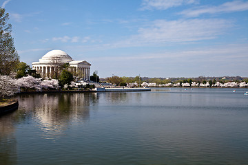 Image showing Washington DC Jefferson Memorial with Cherry Blossoms