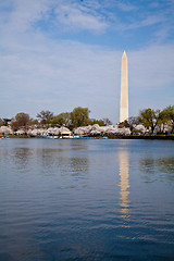 Image showing Washington DC Washington Monument reflected in Tidal Basin with 