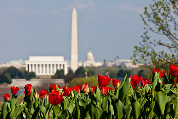 Image showing Washington DC Skyline with Lincoln Memorial, Washington Monument