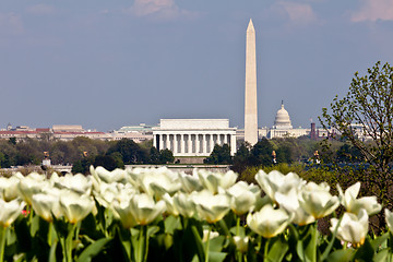 Image showing Washington DC Skyline with Lincoln Memorial, Washington Monument