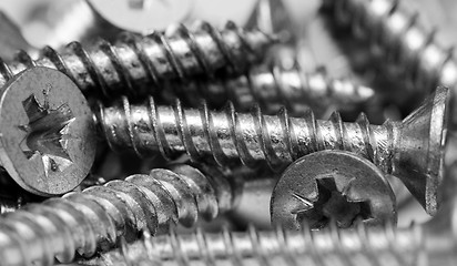 Image showing Screw Macro