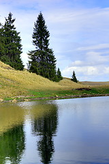 Image showing mountain lake and spruces