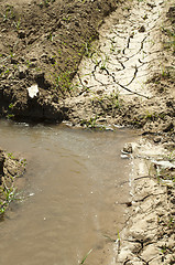 Image showing Cracked soil and water