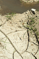 Image showing Cracked soil and water