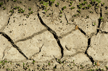 Image showing Land parched land