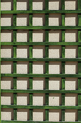 Image showing Green wooden lattice wall